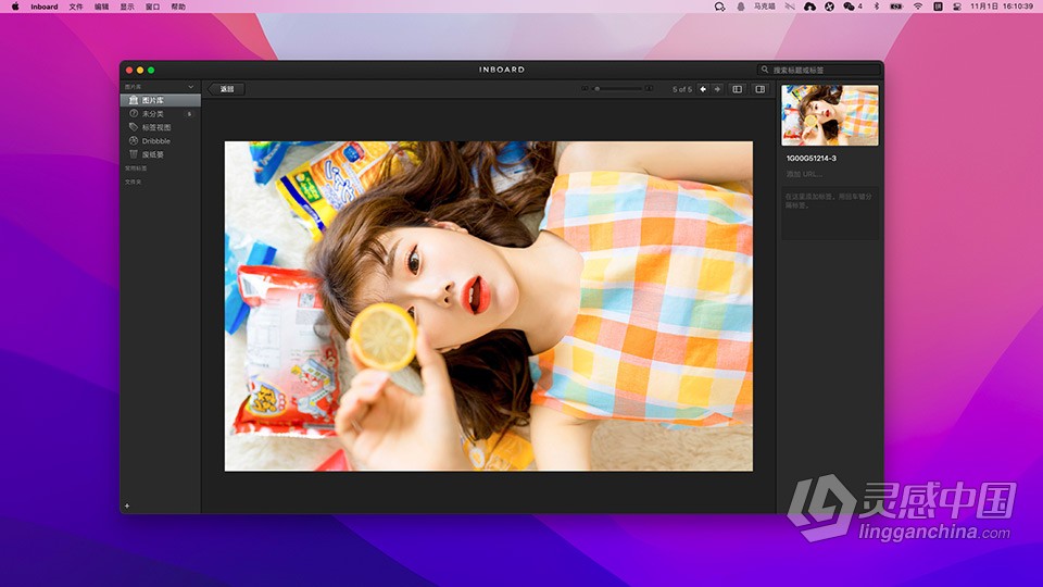 图片素材管理工具 Inboard 1.1.6 for Mac 中文激活版下载  福风灵感网 www.ffidea.com