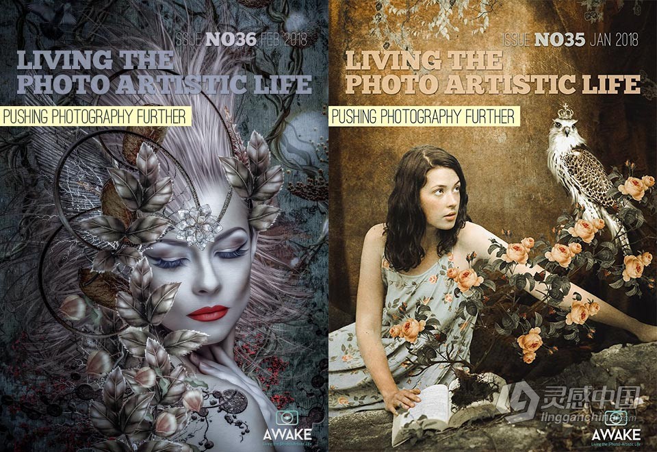 过上摄影艺术生活-2018年全年1-12期 Living the Photo Artistic Life 2018  福风灵感网 www.ffidea.com