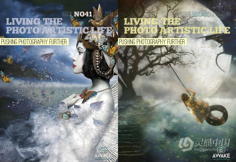 过上摄影艺术生活-2018年全年1-12期 Living the Photo Artistic Life 2018  福风灵感网 www.ffidea.com