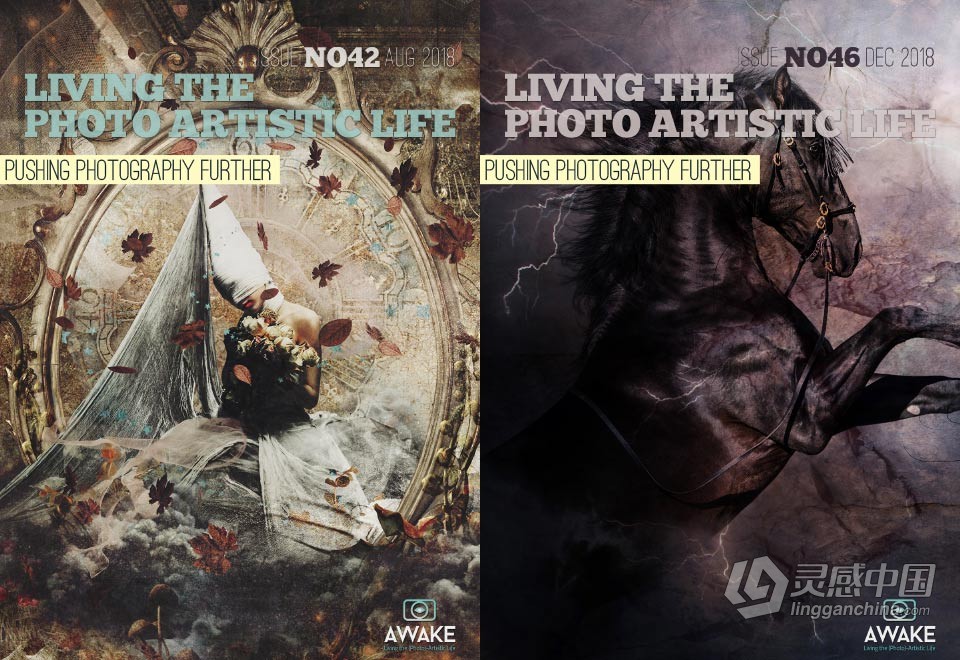 过上摄影艺术生活-2018年全年1-12期 Living the Photo Artistic Life 2018  福风灵感网 www.ffidea.com