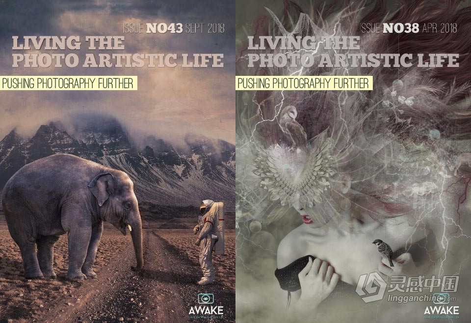 过上摄影艺术生活-2018年全年1-12期 Living the Photo Artistic Life 2018  福风灵感网 www.ffidea.com