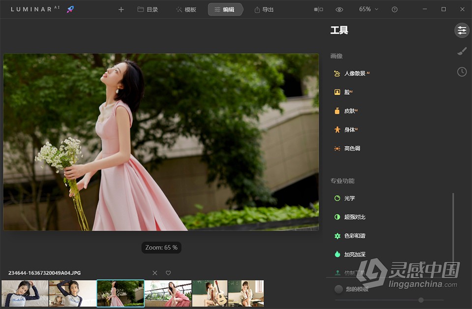 人工智能照片编辑软件 Luminar AI 1.5.2 (9370) Win中文激活版下载  福风灵感网 www.ffidea.com