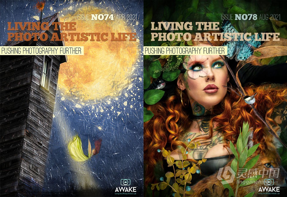 过上摄影艺术生活-2021年全年1-12期 Living the Photo Artistic Life 2021  福风灵感网 www.ffidea.com