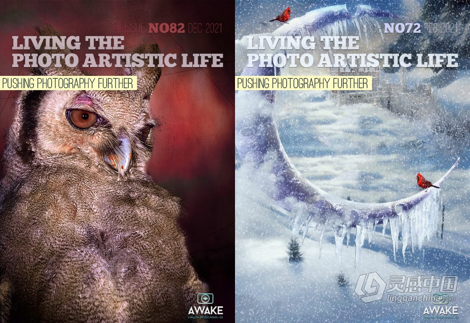 过上摄影艺术生活-2021年全年1-12期 Living the Photo Artistic Life 2021  福风灵感网 www.ffidea.com