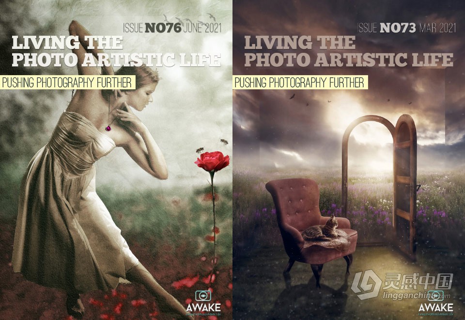 过上摄影艺术生活-2021年全年1-12期 Living the Photo Artistic Life 2021  福风灵感网 www.ffidea.com