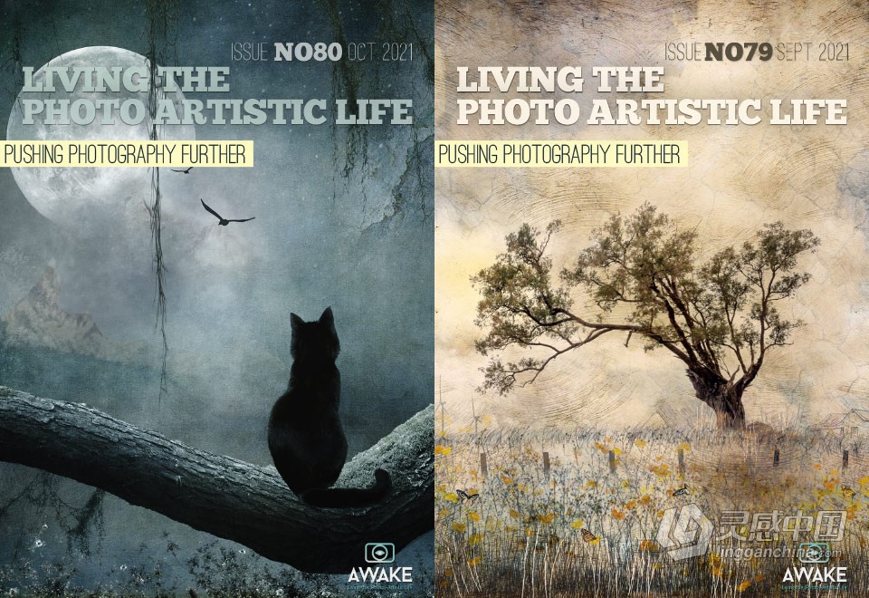 过上摄影艺术生活-2021年全年1-12期 Living the Photo Artistic Life 2021  福风灵感网 www.ffidea.com