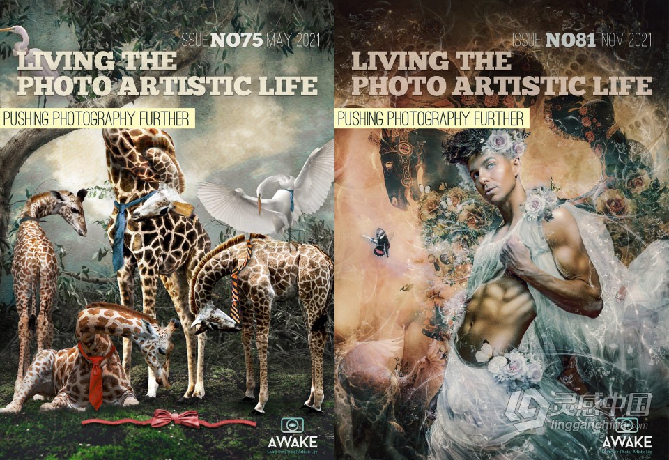 过上摄影艺术生活-2021年全年1-12期 Living the Photo Artistic Life 2021  福风灵感网 www.ffidea.com