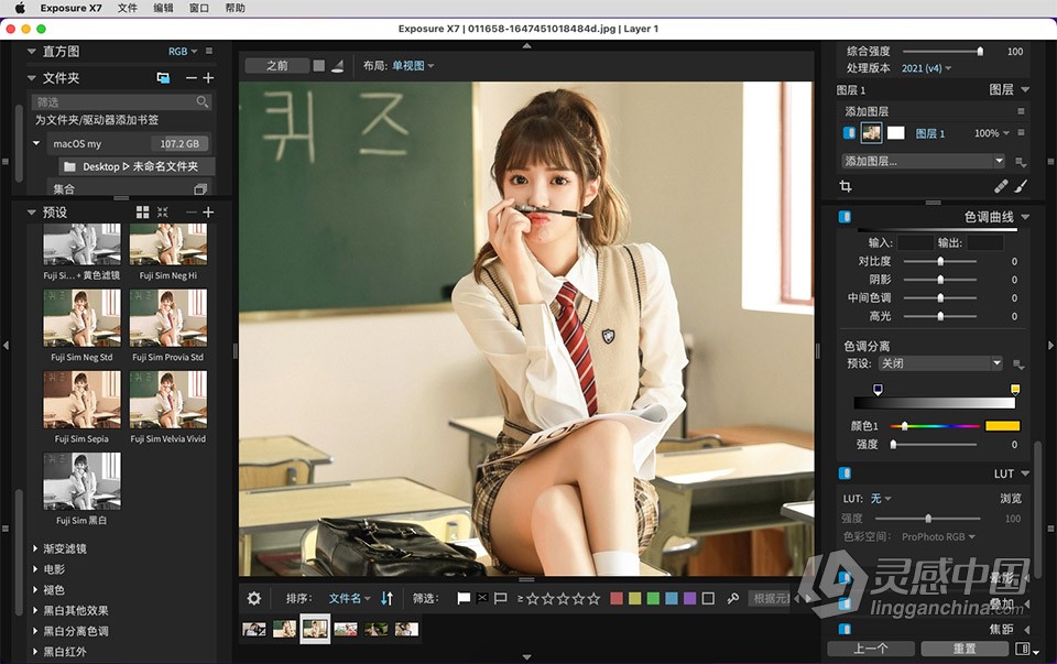 无损RAW图像编辑调色软件 Exposure X7 v7.1.3.186 macOS 中文汉化版下载  福风灵感网 www.ffidea.com