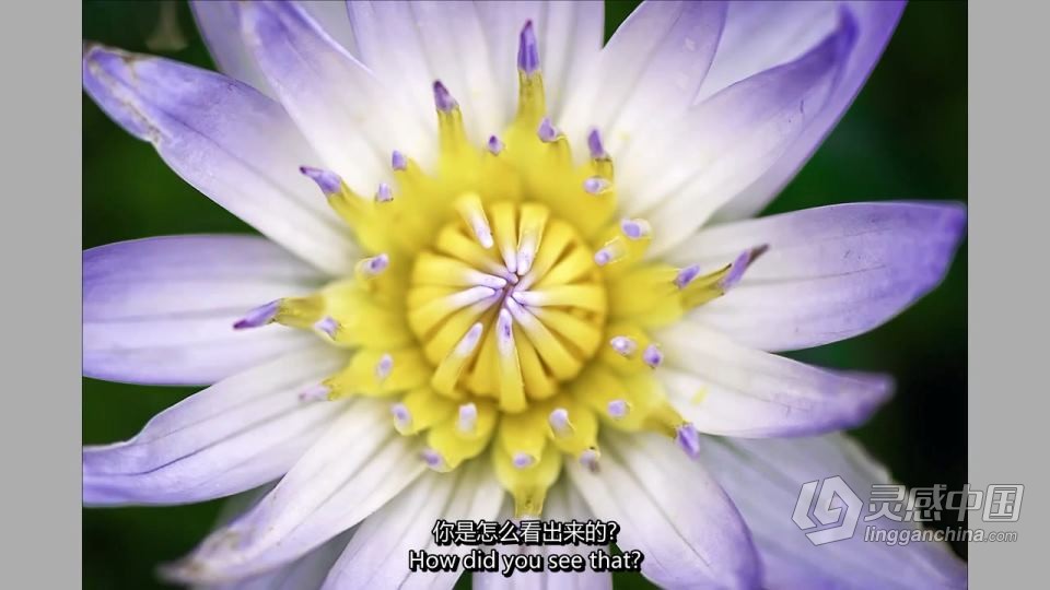 Alex Kilbee学会看-无论你的能力如何-是提高摄影水平的关键 中英字幕  福风灵感网 www.ffidea.com