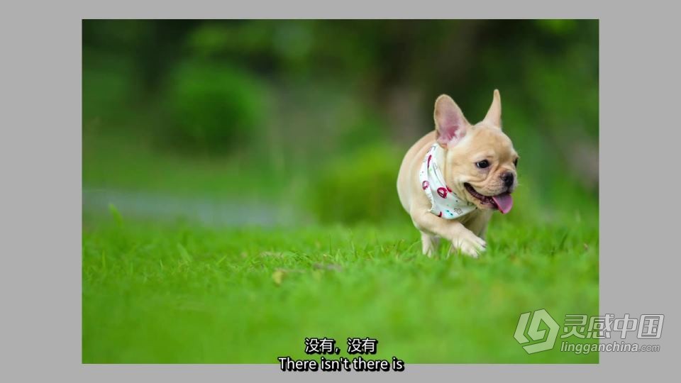 Alex Kilbee学会看-无论你的能力如何-是提高摄影水平的关键 中英字幕  福风灵感网 www.ffidea.com