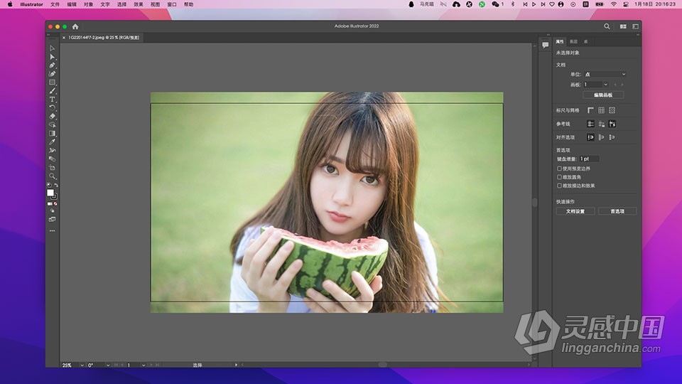 Ai 2022苹果版 Illustrator 2022 v26.2.1 for Mac 中文激活版 intel/M1通用  福风灵感网 www.ffidea.com