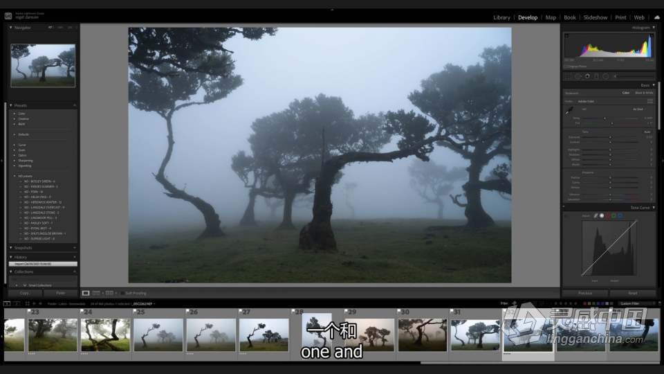 Nigel Danson - 掌握风景摄影艺术 II - 远景.林地和海景的完整指南 中英字幕  福风灵感网 www.ffidea.com