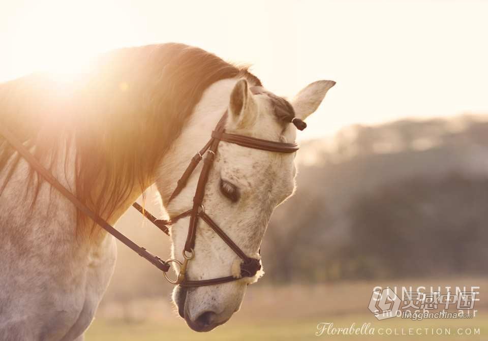 国外大师级儿童摄影后期调色PS动作（附全套视频教程） Florabella TRINITY Photoshop Actions  福风灵感网 www.ffidea.com
