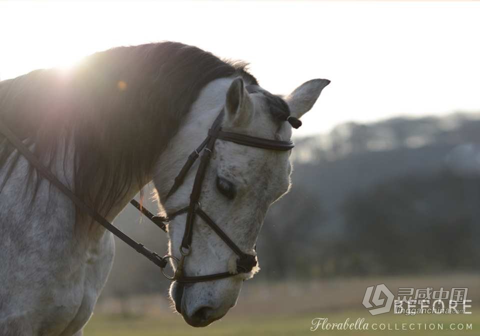 国外大师级儿童摄影后期调色PS动作（附全套视频教程） Florabella TRINITY Photoshop Actions  福风灵感网 www.ffidea.com