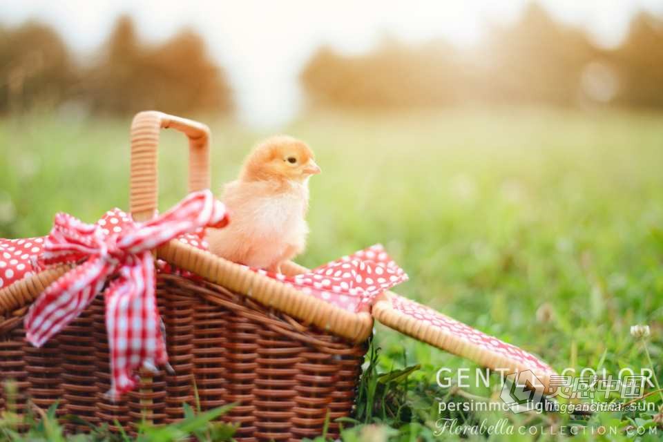 国外大师级儿童摄影后期调色PS动作（附全套视频教程） Florabella TRINITY Photoshop Actions  福风灵感网 www.ffidea.com