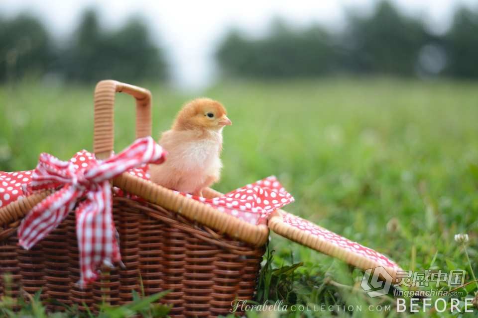 国外大师级儿童摄影后期调色PS动作（附全套视频教程） Florabella TRINITY Photoshop Actions  福风灵感网 www.ffidea.com