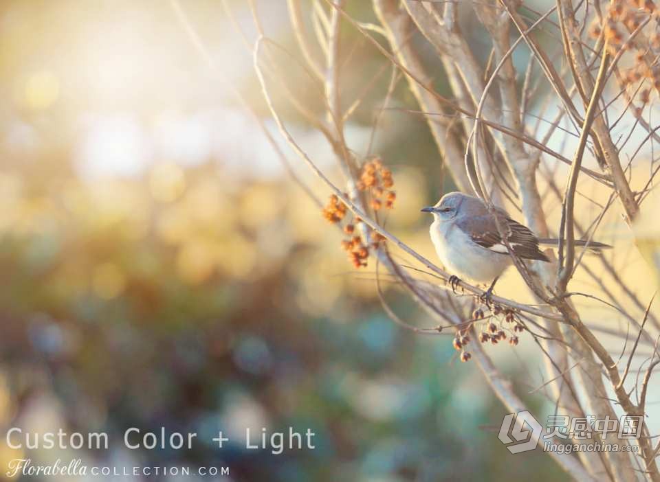 国外大师级儿童摄影后期调色PS动作（附全套视频教程） Florabella TRINITY Photoshop Actions  福风灵感网 www.ffidea.com