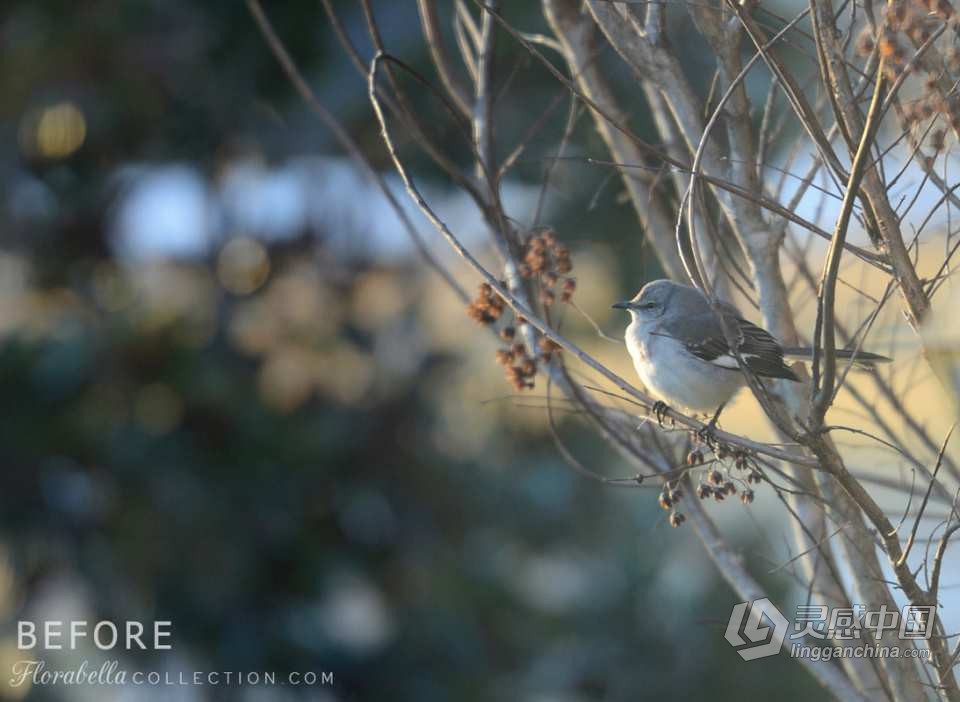 国外大师级儿童摄影后期调色PS动作（附全套视频教程） Florabella TRINITY Photoshop Actions  福风灵感网 www.ffidea.com