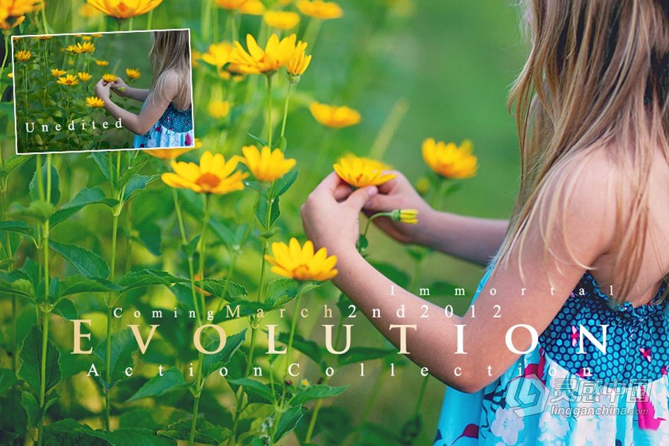 著名M4H大师级PS动作系列 Evolution Action Set  福风灵感网 www.ffidea.com