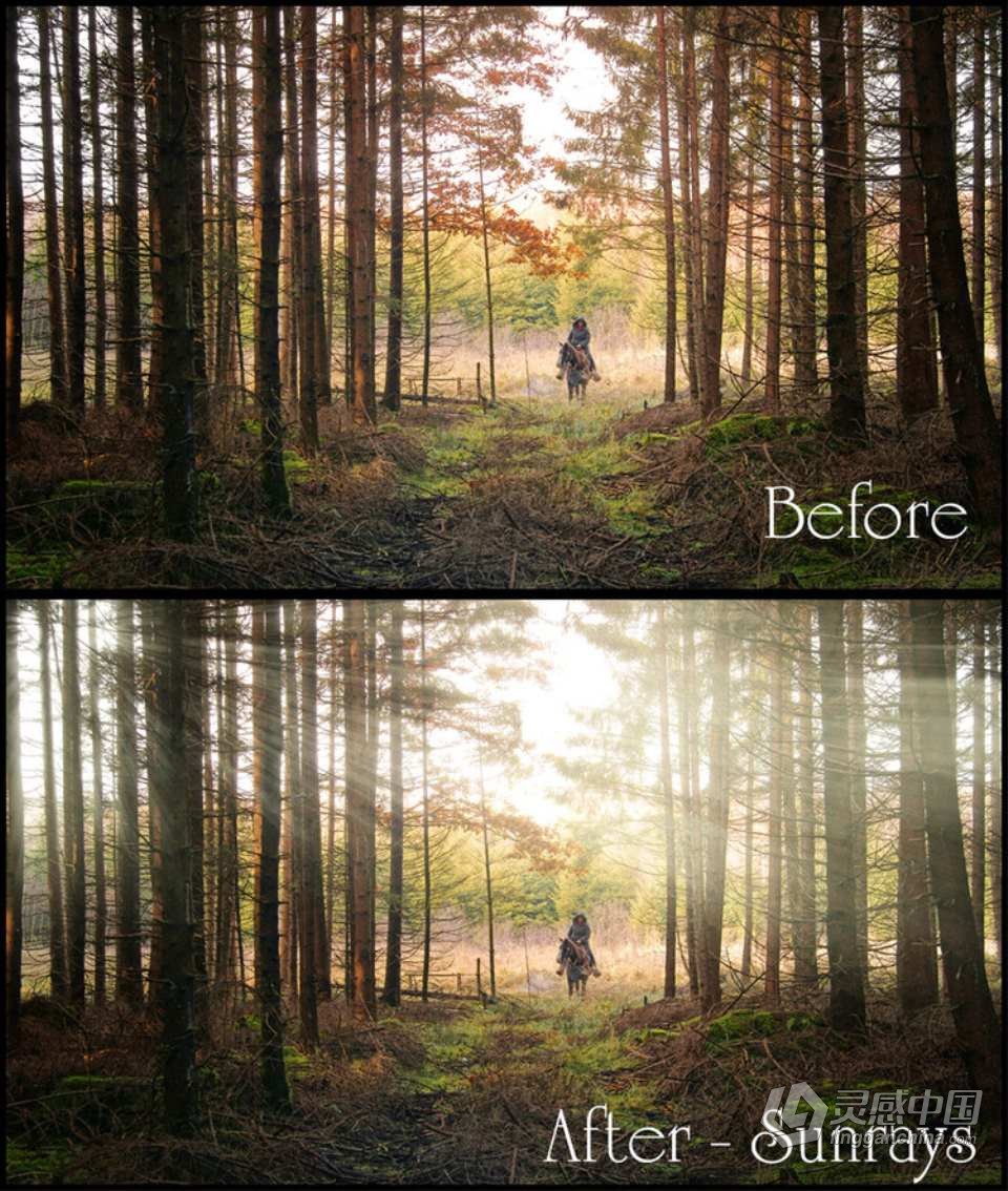 PS光线雨雪叠加特效调色PS动作 Enchanted Mist - Photoshop Actions &amp; Overlays Collection 附视  福风灵感网 www.ffidea.com