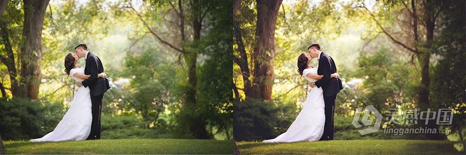 国外大师级Pure系列灿烂季节PS动作 Seasons Photoshop Actions  福风灵感网 www.ffidea.com