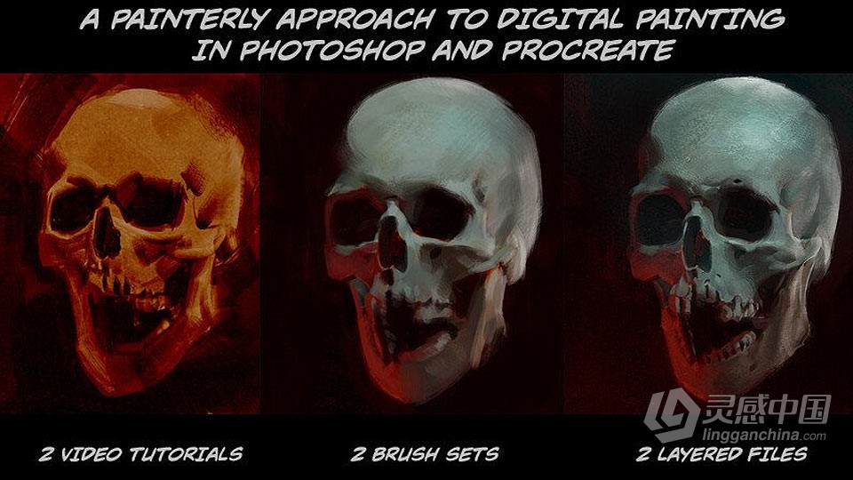 人类骷髅数字绘画实例训练视频教程  福风灵感网 www.ffidea.com
