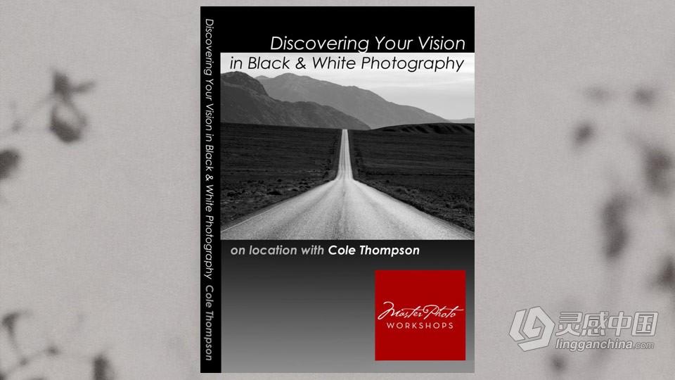 摄影师Cole Thompson 触及灵魂的黑白风景摄影教程-中英字幕  福风灵感网 www.ffidea.com