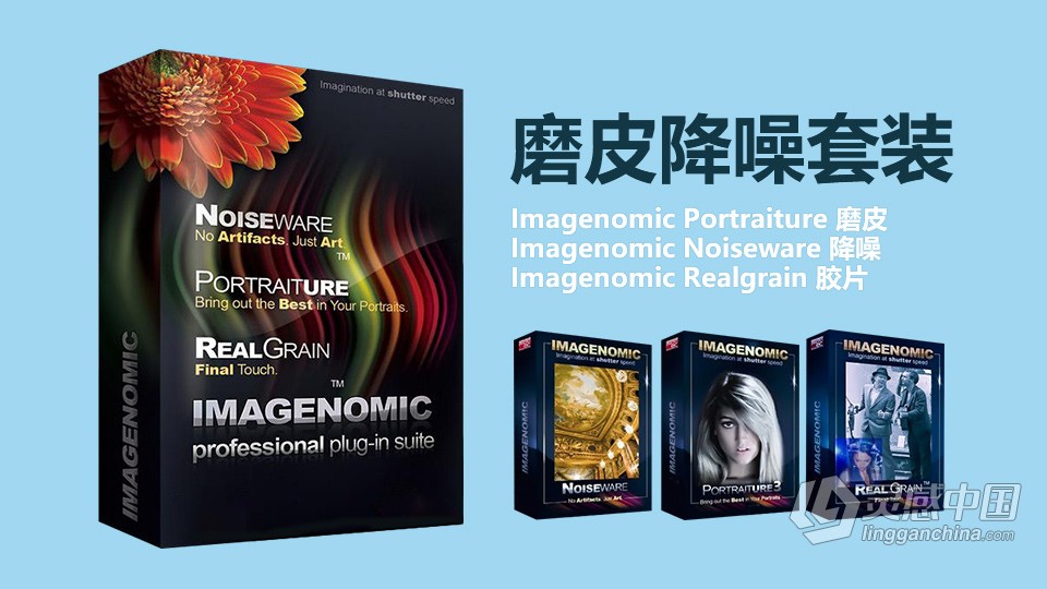 PS磨皮降噪3套件 Imagenomic Professional Plugin Suite 1739 WIN中文汉化版 含Portraiture 3.5.7和  福风灵感网 www.ffidea.com
