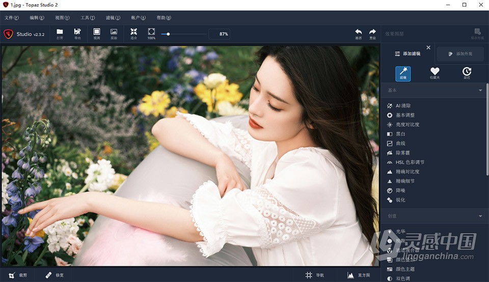 Topaz Studio 2.3.2 汉化版 创意照片编辑软件 WIN中文版  福风灵感网 www.ffidea.com