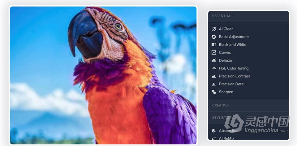 Topaz Studio 2.3.2 汉化版 创意照片编辑软件 WIN中文版  福风灵感网 www.ffidea.com