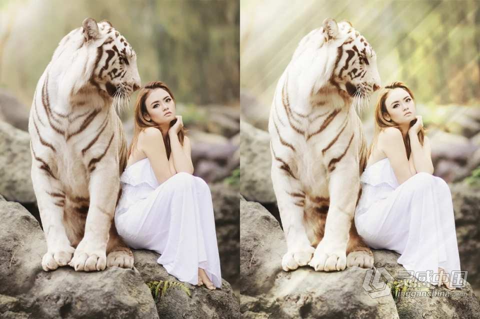 83种自然光线放射光爆裂光线艺术效果PS笔刷 83 Light and Burst Brushes  福风灵感网 www.ffidea.com