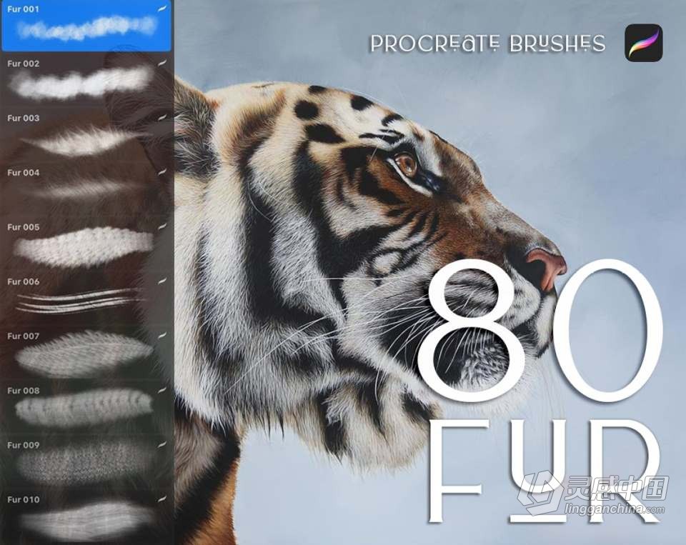 【Procreate笔刷】930人像化妆彩妆画笔套装Procreate笔刷 1760 Procreate Makeup Brushes  福风灵感网 www.ffidea.com