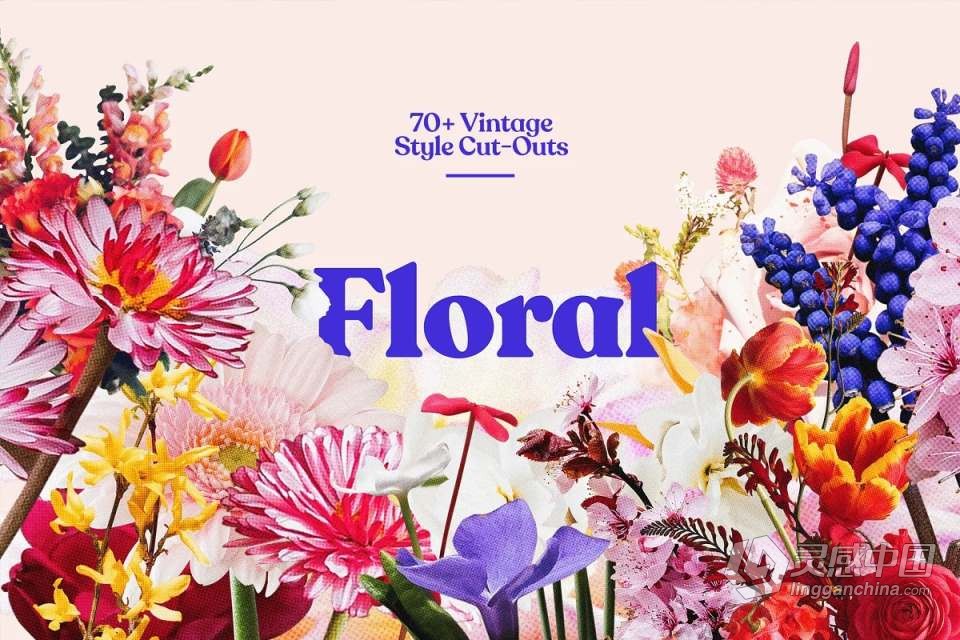 71张复古半色调颗粒风格花草植物PNG剪贴素材 Studio 2am – Floral：70+ Vintage Floral Cut-Outs  福风灵感网 www.ffidea.com