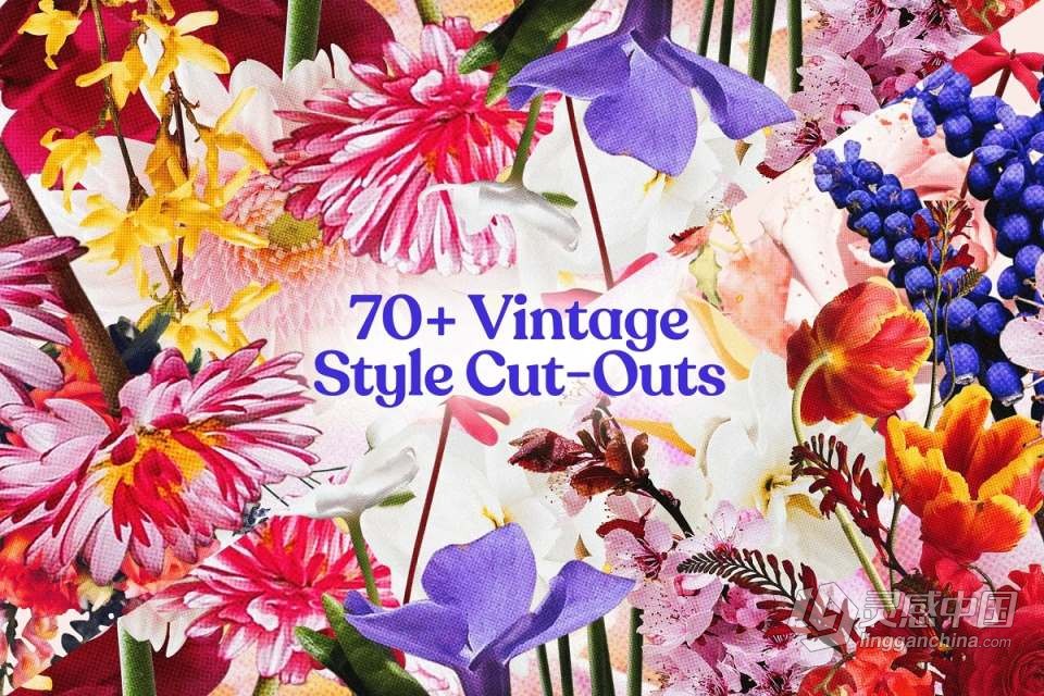 71张复古半色调颗粒风格花草植物PNG剪贴素材 Studio 2am – Floral：70+ Vintage Floral Cut-Outs  福风灵感网 www.ffidea.com