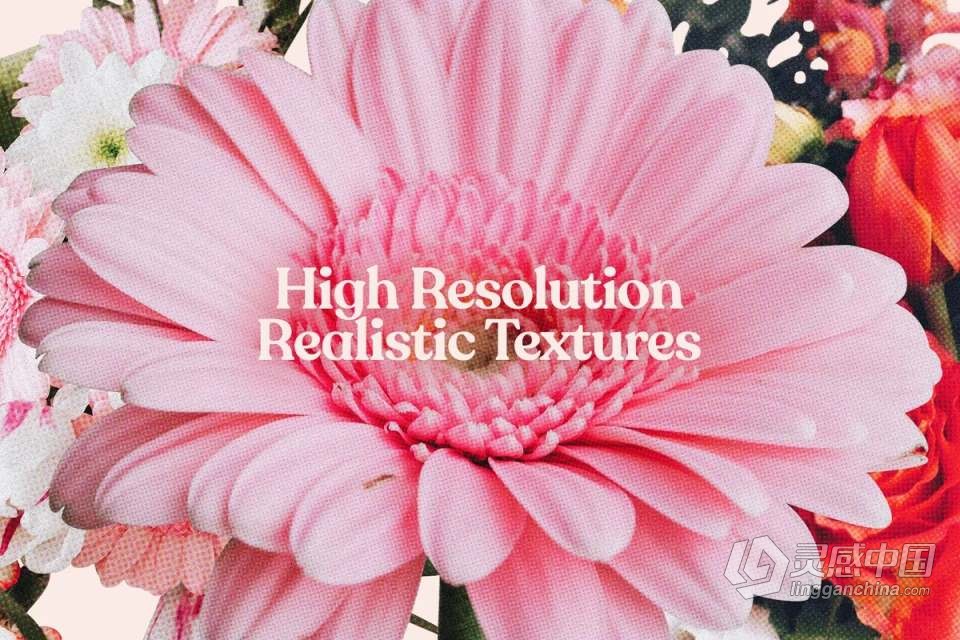 71张复古半色调颗粒风格花草植物PNG剪贴素材 Studio 2am – Floral：70+ Vintage Floral Cut-Outs  福风灵感网 www.ffidea.com