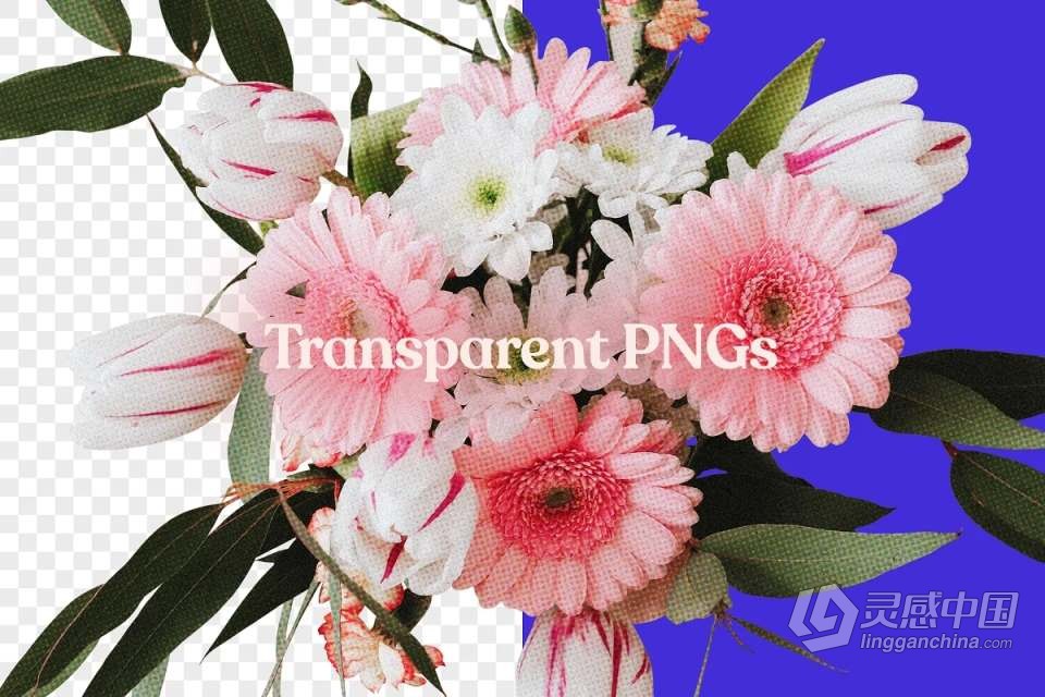 71张复古半色调颗粒风格花草植物PNG剪贴素材 Studio 2am – Floral：70+ Vintage Floral Cut-Outs  福风灵感网 www.ffidea.com