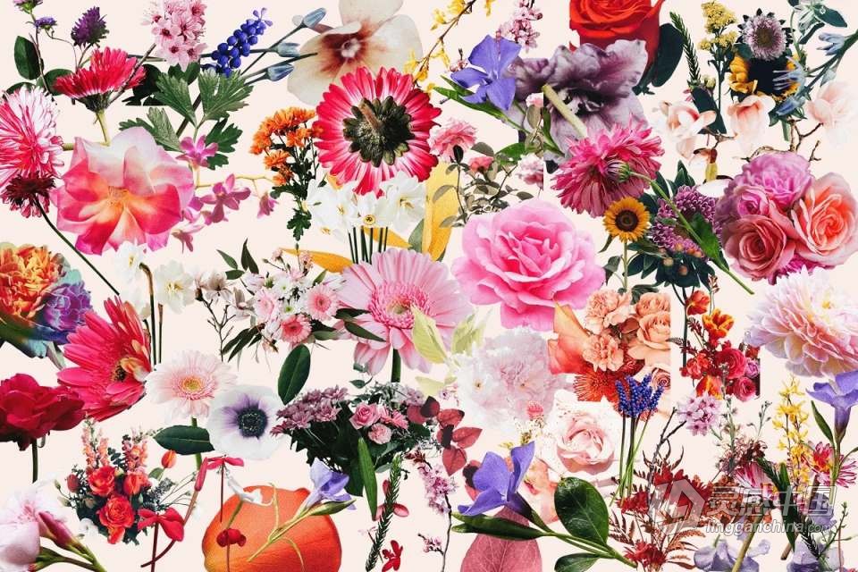 71张复古半色调颗粒风格花草植物PNG剪贴素材 Studio 2am – Floral：70+ Vintage Floral Cut-Outs  福风灵感网 www.ffidea.com