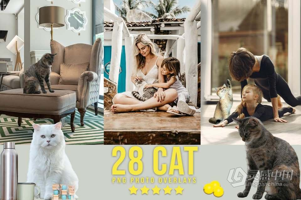 3300+动物花鸟植物藤曼浪漫闪光纸屑彩虹烟雾星空极光等照片叠加合成素材合集 3300+ Photo Overlays Bundle + FREE Act  福风灵感网 www.ffidea.com