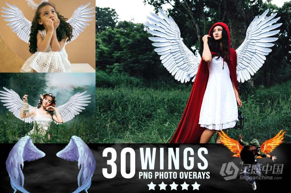 3300+动物花鸟植物藤曼浪漫闪光纸屑彩虹烟雾星空极光等照片叠加合成素材合集 3300+ Photo Overlays Bundle + FREE Act  福风灵感网 www.ffidea.com