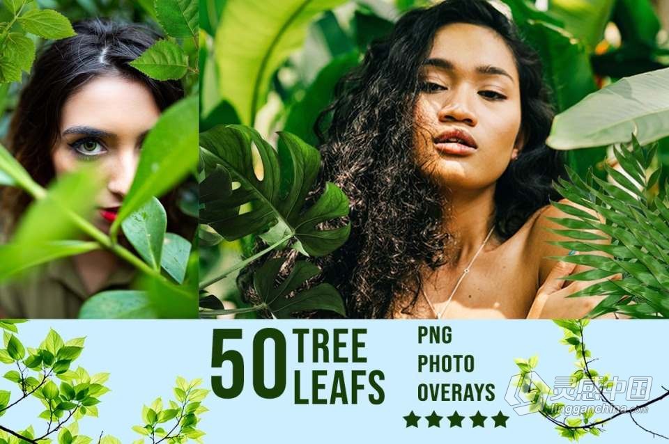 3300+动物花鸟植物藤曼浪漫闪光纸屑彩虹烟雾星空极光等照片叠加合成素材合集 3300+ Photo Overlays Bundle + FREE Act  福风灵感网 www.ffidea.com