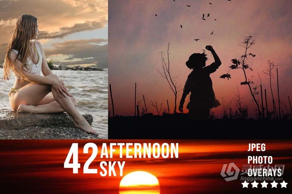 3300+动物花鸟植物藤曼浪漫闪光纸屑彩虹烟雾星空极光等照片叠加合成素材合集 3300+ Photo Overlays Bundle + FREE Act  福风灵感网 www.ffidea.com