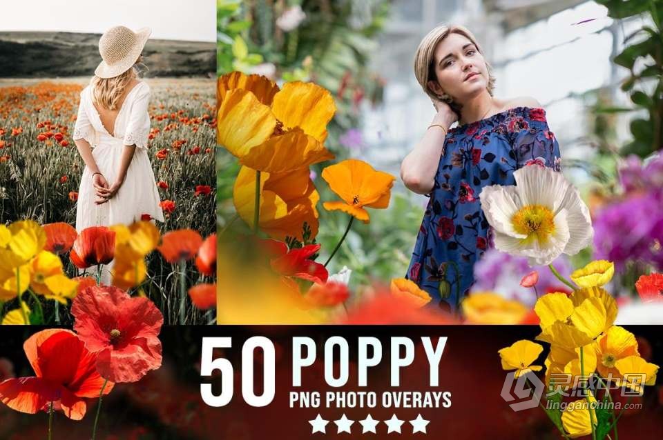 3300+动物花鸟植物藤曼浪漫闪光纸屑彩虹烟雾星空极光等照片叠加合成素材合集 3300+ Photo Overlays Bundle + FREE Act  福风灵感网 www.ffidea.com