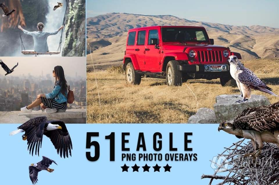 3300+动物花鸟植物藤曼浪漫闪光纸屑彩虹烟雾星空极光等照片叠加合成素材合集 3300+ Photo Overlays Bundle + FREE Act  福风灵感网 www.ffidea.com