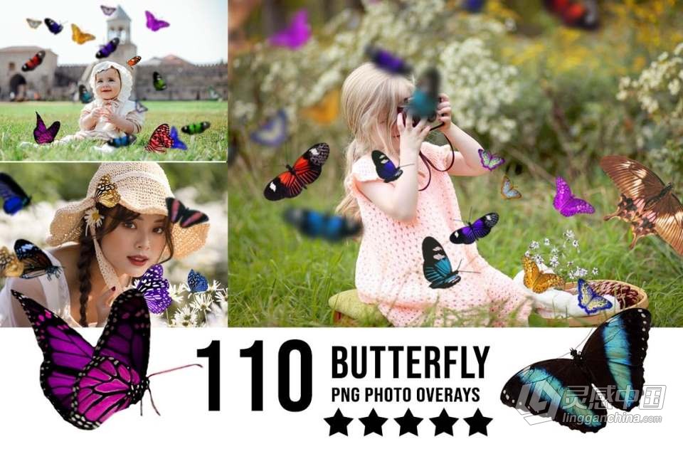 3300+动物花鸟植物藤曼浪漫闪光纸屑彩虹烟雾星空极光等照片叠加合成素材合集 3300+ Photo Overlays Bundle + FREE Act  福风灵感网 www.ffidea.com