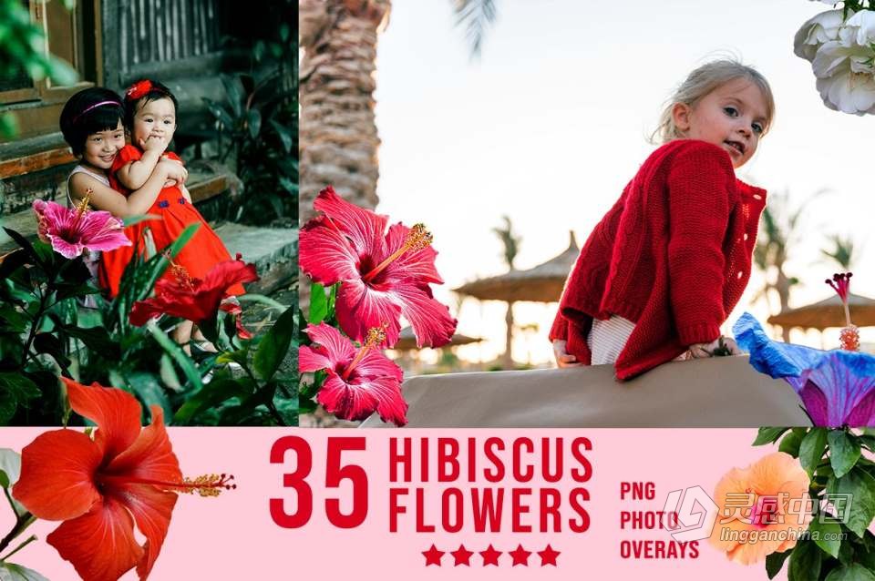 3300+动物花鸟植物藤曼浪漫闪光纸屑彩虹烟雾星空极光等照片叠加合成素材合集 3300+ Photo Overlays Bundle + FREE Act  福风灵感网 www.ffidea.com