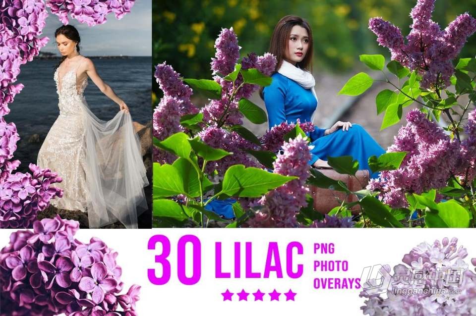 3300+动物花鸟植物藤曼浪漫闪光纸屑彩虹烟雾星空极光等照片叠加合成素材合集 3300+ Photo Overlays Bundle + FREE Act  福风灵感网 www.ffidea.com