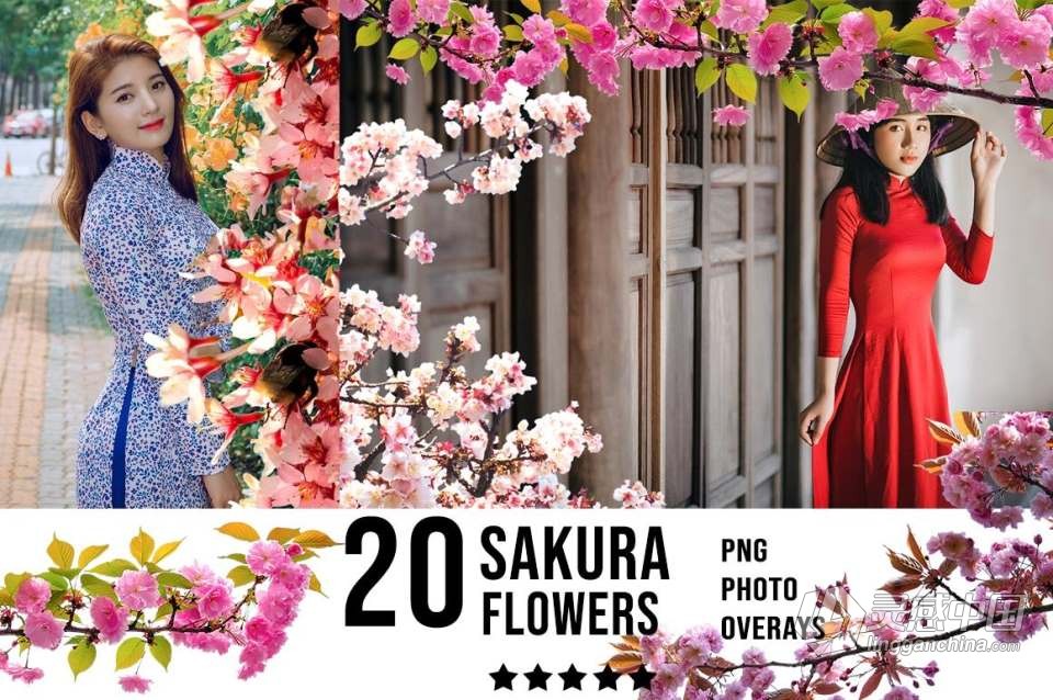 3300+动物花鸟植物藤曼浪漫闪光纸屑彩虹烟雾星空极光等照片叠加合成素材合集 3300+ Photo Overlays Bundle + FREE Act  福风灵感网 www.ffidea.com