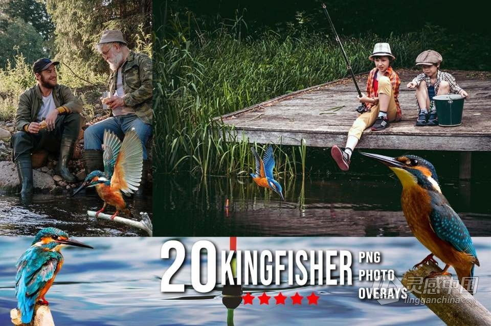 3300+动物花鸟植物藤曼浪漫闪光纸屑彩虹烟雾星空极光等照片叠加合成素材合集 3300+ Photo Overlays Bundle + FREE Act  福风灵感网 www.ffidea.com