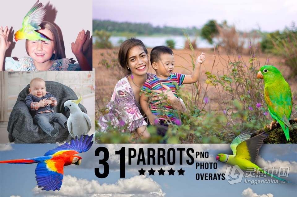 3300+动物花鸟植物藤曼浪漫闪光纸屑彩虹烟雾星空极光等照片叠加合成素材合集 3300+ Photo Overlays Bundle + FREE Act  福风灵感网 www.ffidea.com