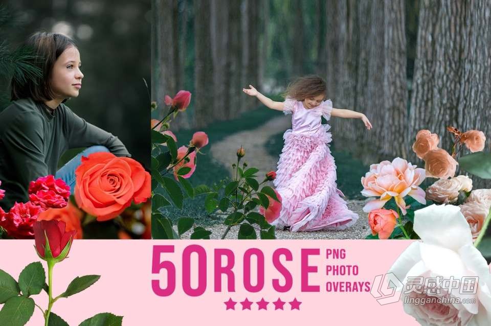 3300+动物花鸟植物藤曼浪漫闪光纸屑彩虹烟雾星空极光等照片叠加合成素材合集 3300+ Photo Overlays Bundle + FREE Act  福风灵感网 www.ffidea.com